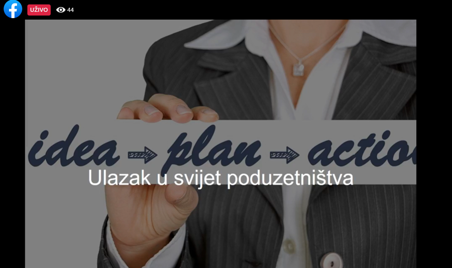 Održana on line radionica na temu 'Osnove poduzetništva i zakonodavni okvir'