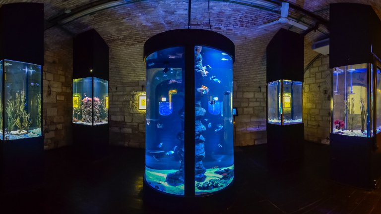 Aquarium Pula kao uspješna poduzetnička priča podržana u sklopu kreditnih linija IDA-e
